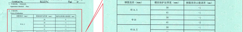 铁路试验ipfliveapp泡芙证书报告结果页